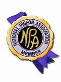 NPA